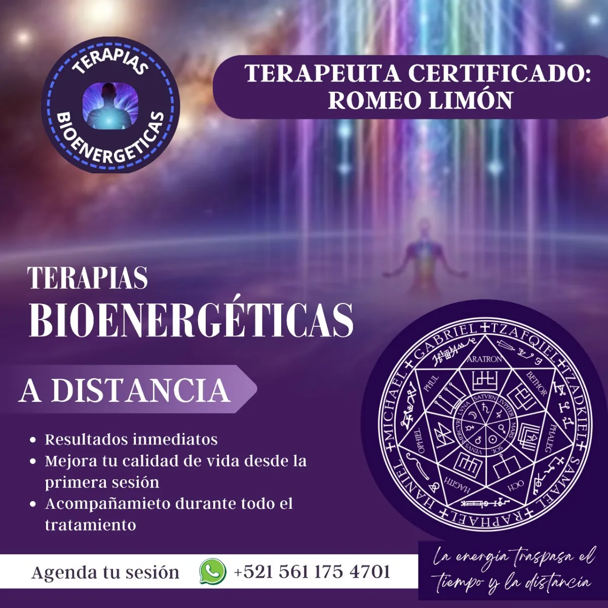 Terapias Bioenergeticas